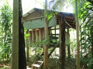 Eine der Hütten im Camp